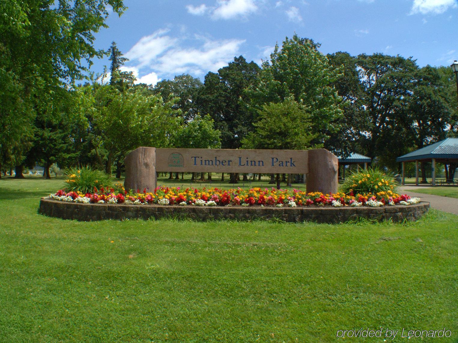 Rodeway Albany